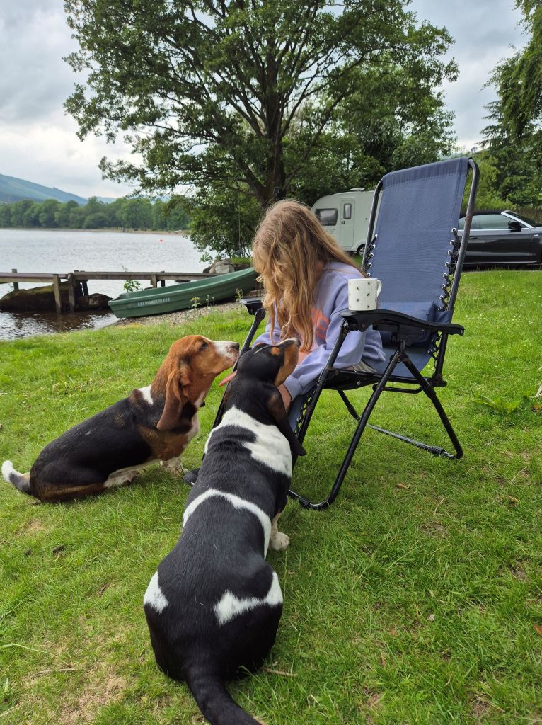 Making friends with basset hounds